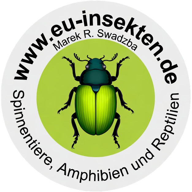 www.eu-insekten.de - Marek R. Swadzba